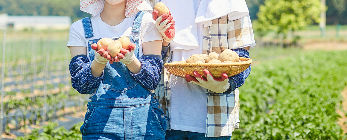 전체 너비 이미지